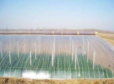 果蔬农膜与西瓜农膜价格全解析 农用薄膜选购指南